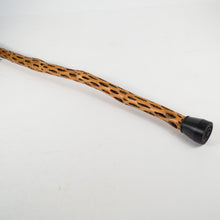 Vintage Southwest Cholla Cactus Wood Walking Stick Cane
